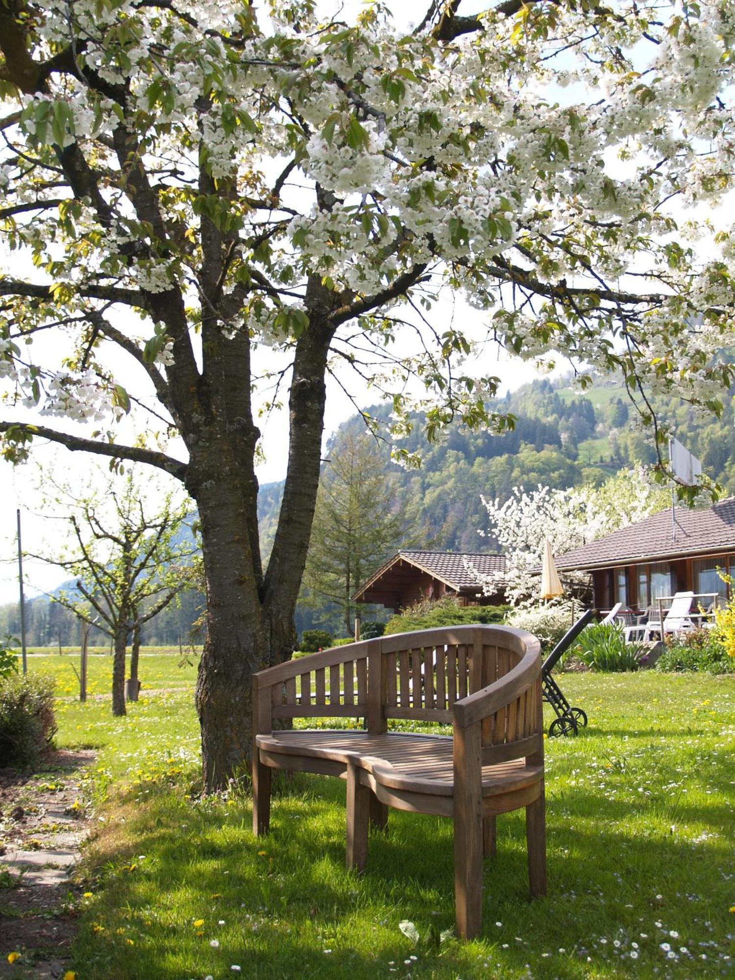 Salzano Basic Rooms Interlaken Exterior photo